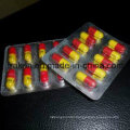 GMP Certified Gabapentin Capsule / Otilonium Bromide Capsule / Clinofibrate Capsule